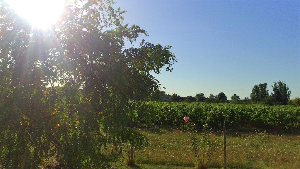 Le Soleil En Gironde Vila Vrillant Exterior foto